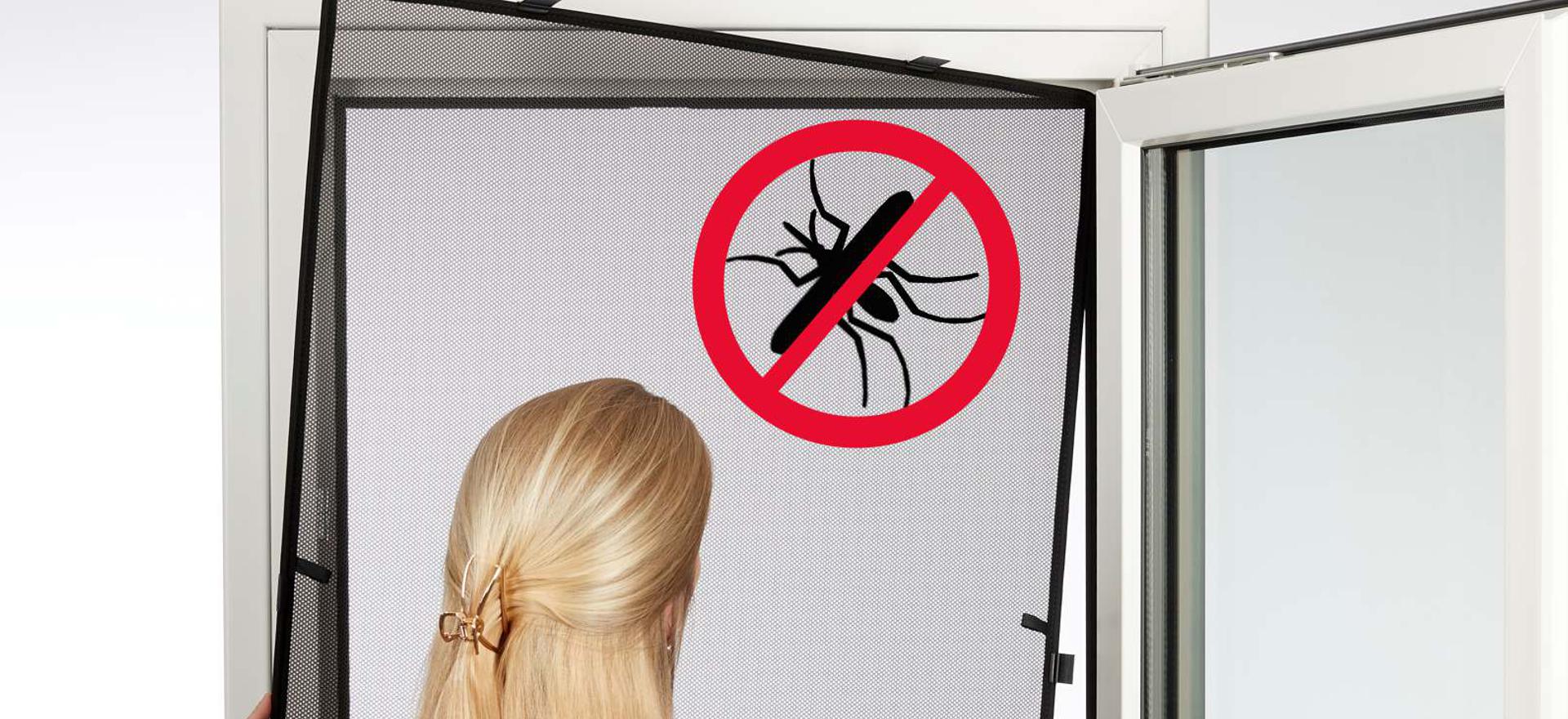 Insect screens protect against dangerous black flies a woman attaches a fly screen to a window